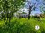 Villa 580 mq, soggiorno, 4 camere