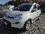 FIAT Panda 1.0 FireFly S&S Hybrid Red