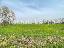 Terreno 64170 mq, zona Portogruaro - Centro