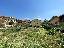 Terreno edificabile in Vendita a Torricella Sicura