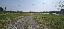 Terreno 15000 mq, zona Rocca Canavese