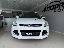 FORD Kuga 2.0 TDCI 140 CV 4WD Titanium