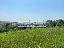 Terreno 3450 mq