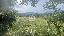 Terreno 3850 mq