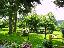 Villa 1700 mq, soggiorno, più di 3 camere, zona Villa