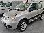 FIAT Panda 1.2 4x4 Climbing