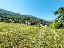 Terreno 1400 mq, zona Cassinone