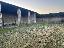 Rustico 400 mq, 3 camere