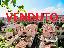 Appartamento 128 mq, soggiorno, 3 camere, zona San Zeno