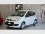 FIAT Panda 1.2 EasyPower Easy
