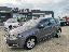 VOLKSWAGEN Polo 1.6 TDI 90 CV 5p. Comfortline