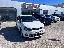 VOLKSWAGEN Polo 1.4 TDI 5p. Comfortline