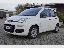 FIAT Panda 1.3 MJT 95 CV S&S Easy