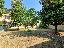 Casa singola 270 mq, soggiorno, 4 camere, zona Anzola dell'Emilia - Centro