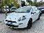 FIAT Punto 1.3 MJT II 16V 5p. Lounge