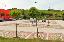 Terreno 2205 mq