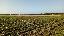 Terreno 33300 mq, zona Bagnile