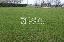 Terreno 1200 mq, zona Paese