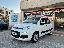 FIAT Panda 1.0 FireFly S&S Hybrid Easy
