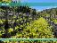 Terreno 7954 mq