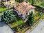 Casa singola 280 mq, soggiorno, 3 camere, zona Belforte all'Isauro
