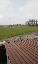 Terreno 14000 mq, zona Valli di Chioggia