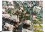 Appartamento 45 mq, 1 camera, zona Borghetto Santo Spirito
