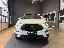 FORD EcoSport 1.5 Ecoblue 95 CV S&S Plus