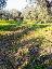 Terreno 4800 mq, zona Palombara Sabina