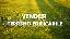 Terreno 2700 mq, zona Tombelle