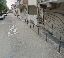 Garage 15 mq, zona Villastellone - Centro