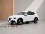 ALFA ROMEO Stelvio 2.2 T.diesel 190 CV AT8 Q4 Exec.
