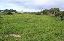 Terreno 8153 mq