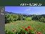 Appartamento 95 mq, 2 camere