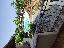 Vacanze a Tropea