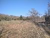 Terreno agricolo in Istria.